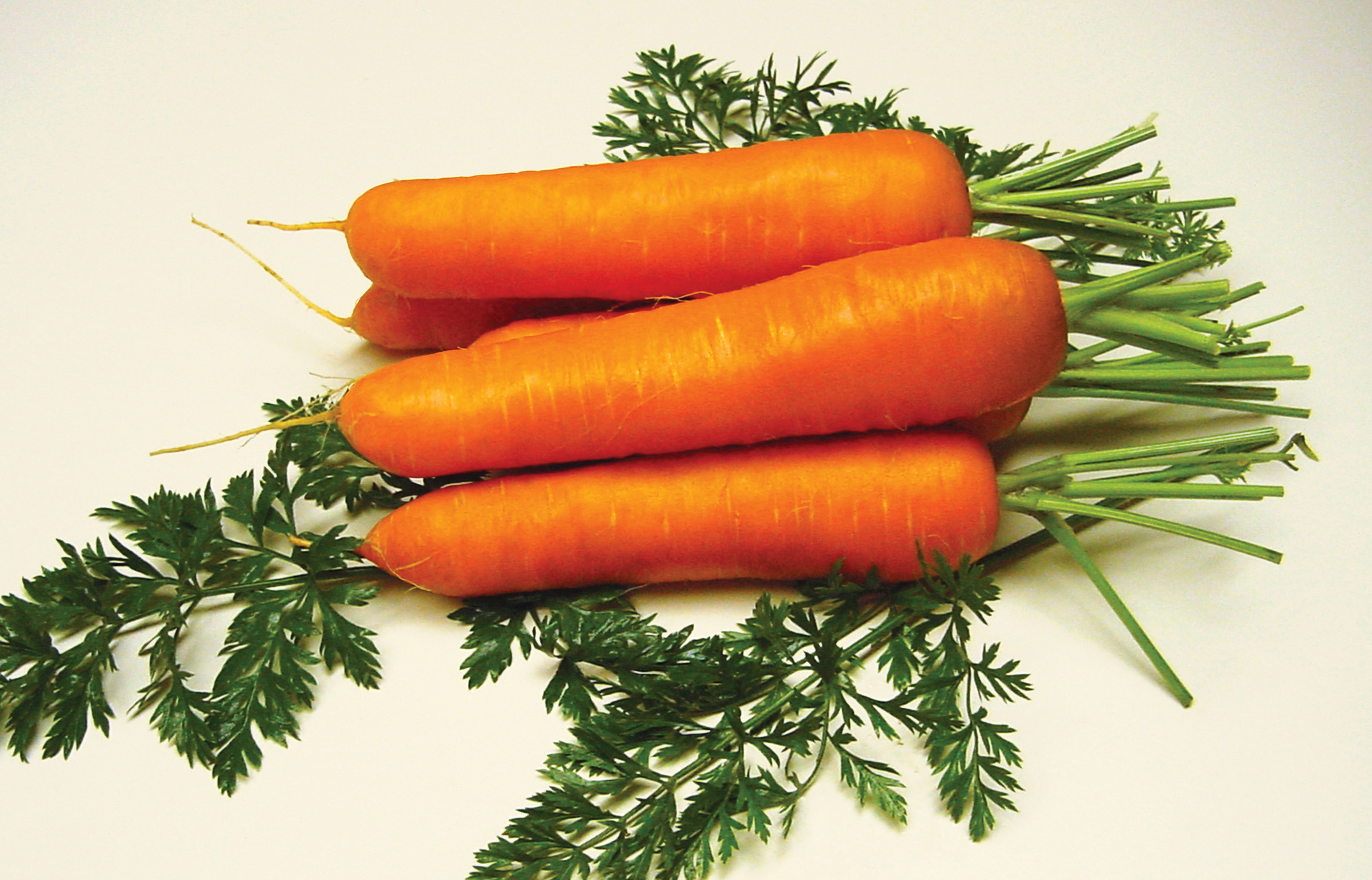 Морковь Саманта f1