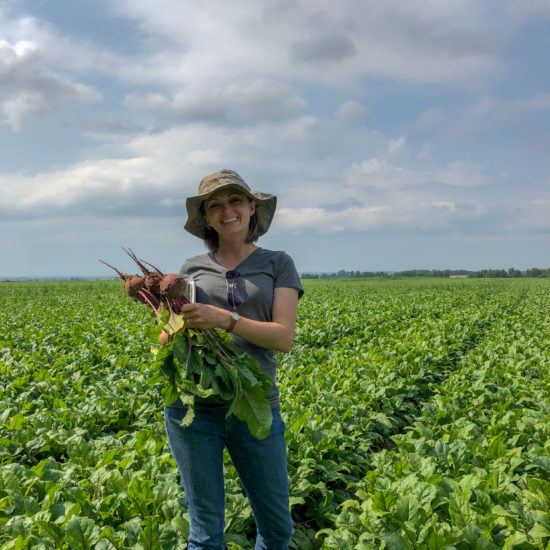 Dr. Laura Ann Diehl Plant breeder, Laura Ann Diehl