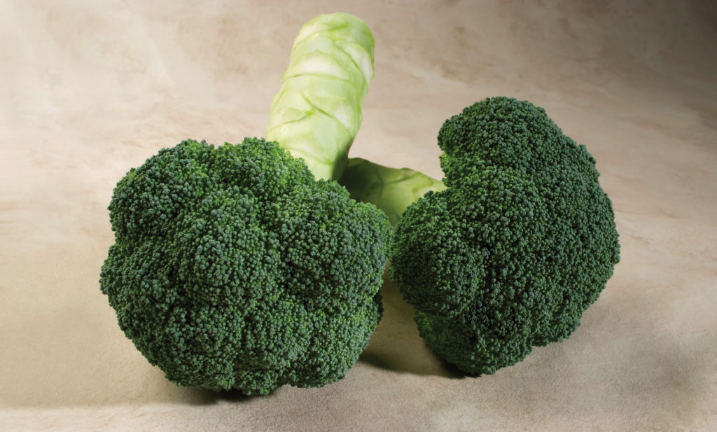 https://sakatavegetables.com/wp-content/uploads/2017/10/Broccoli_GreenGoldSBC5526B-1024x617.jpg