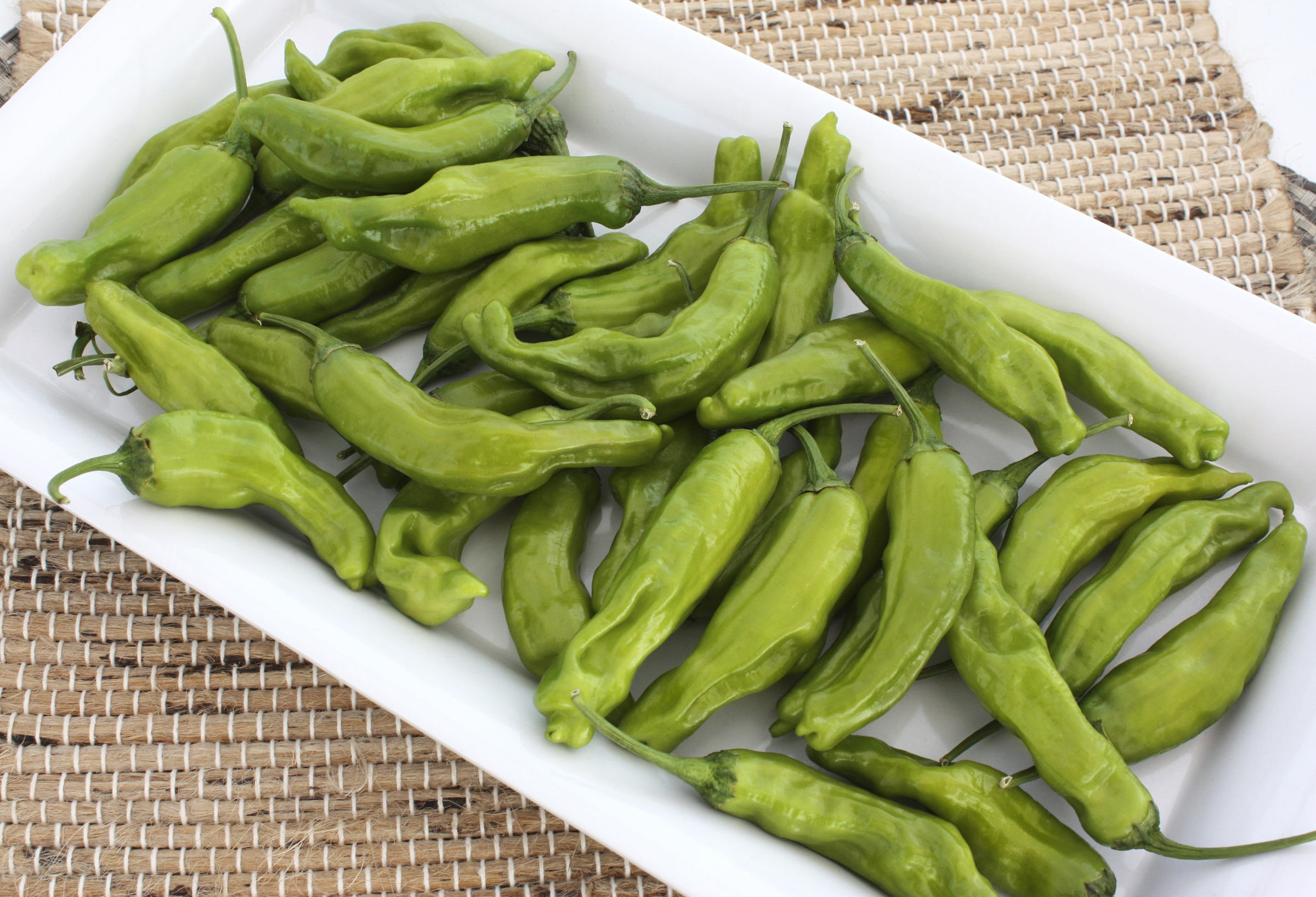 Japanese Shishito Peppers: Boost Your Harvest and Cooking Experience