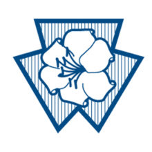 Shield Shield