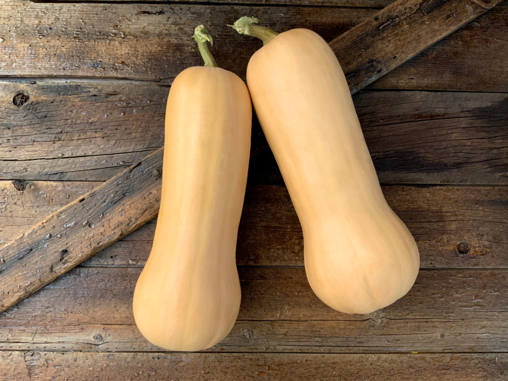 Genesis Sakata Wholesale Vegetable Seed