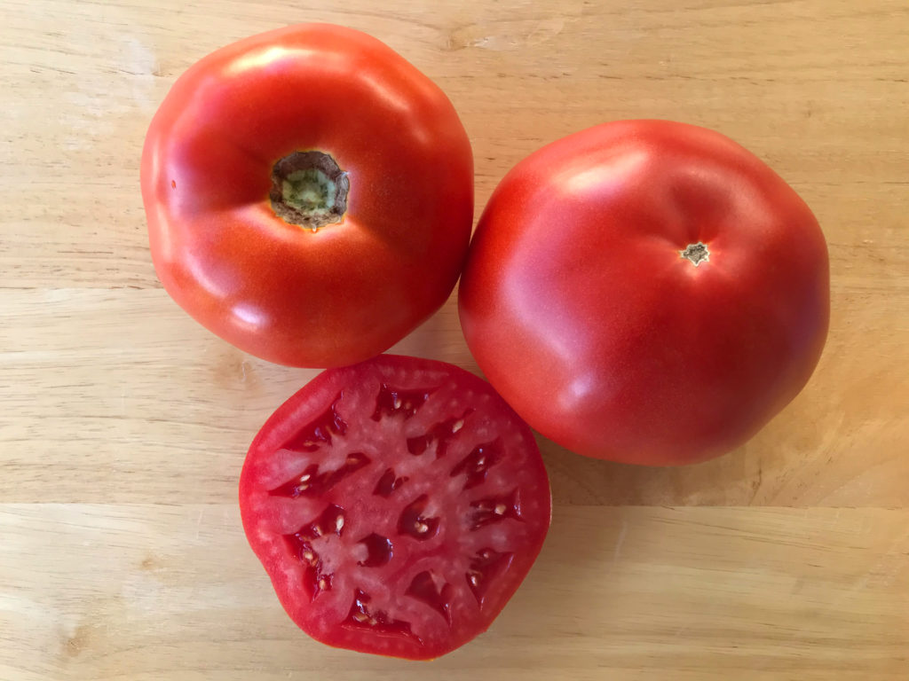tomatoページ Thunderbird - Sakata Wholesale Vegetable Seed