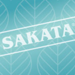 Sakata logo over leaf pattern