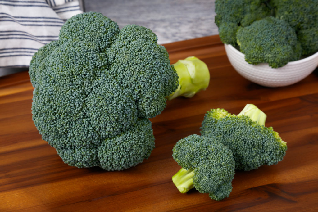 Pinrot Fortress - Sakata Wholesale Vegetable Seed